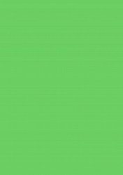 Herlitz - Kartón svetlo-zelený obojstranný