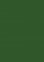 Herlitz - Kartón tmavo-zelený obojstranný
